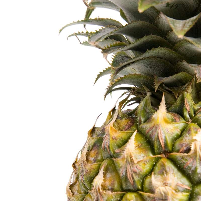 как правильно мариновать шашлык